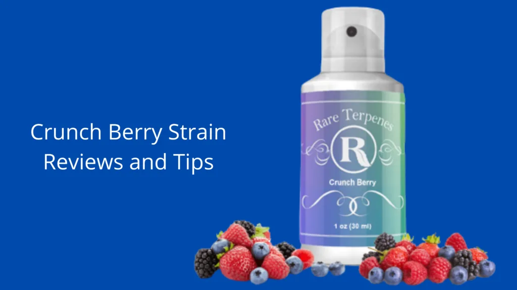 Crunch Berry Strain