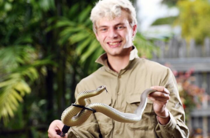 Snake Catcher Sunshine Coast