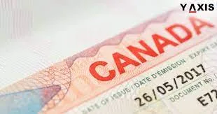 medical visa