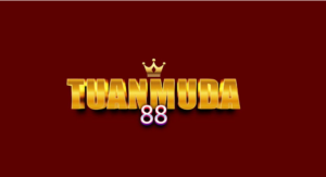Everything You Need to Know About Tuanmuda88